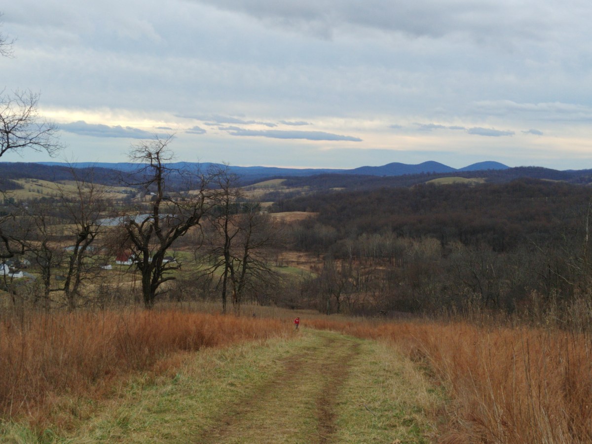 Sky Meadows: It&nbsp;Begins